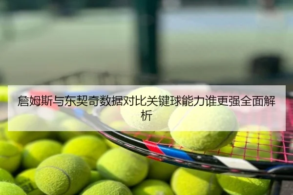 詹姆斯与东契奇数据对比关键球能力谁更强全面解析