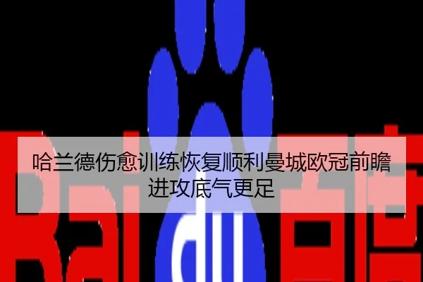 哈兰德伤愈训练恢复顺利曼城欧冠前瞻进攻底气更足